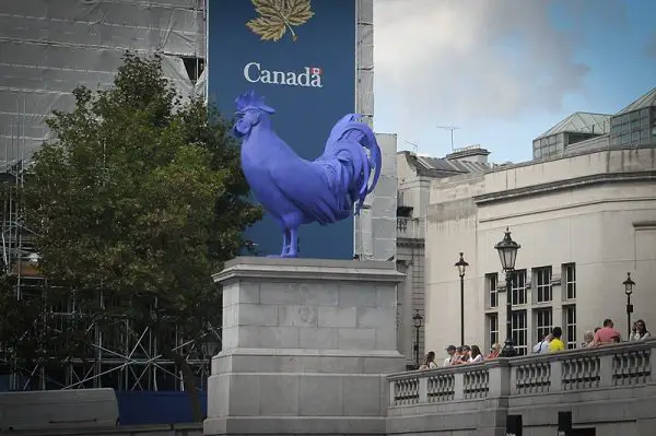 Estátua de um Galo na Trafalgar Square