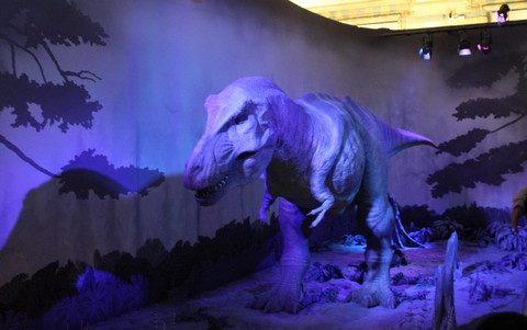 Museu de História Natural - dinossauro