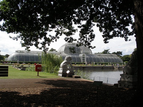 Kew Gardens o jardim botânico real Palm House