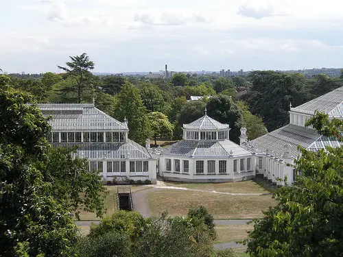 Kew Gardens o jardim botânico real - Temperate house