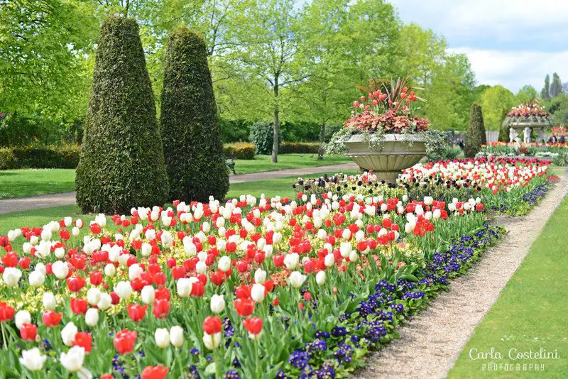 Londres de graça - Regent's Park