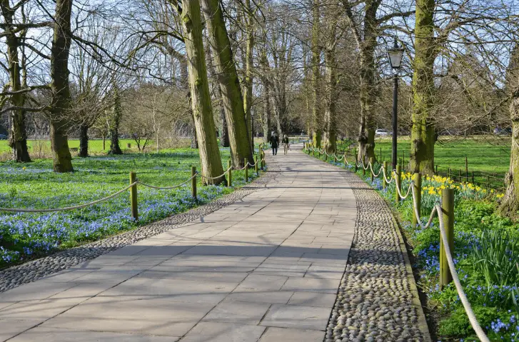 Como ir de Londres a Cambridge - parques