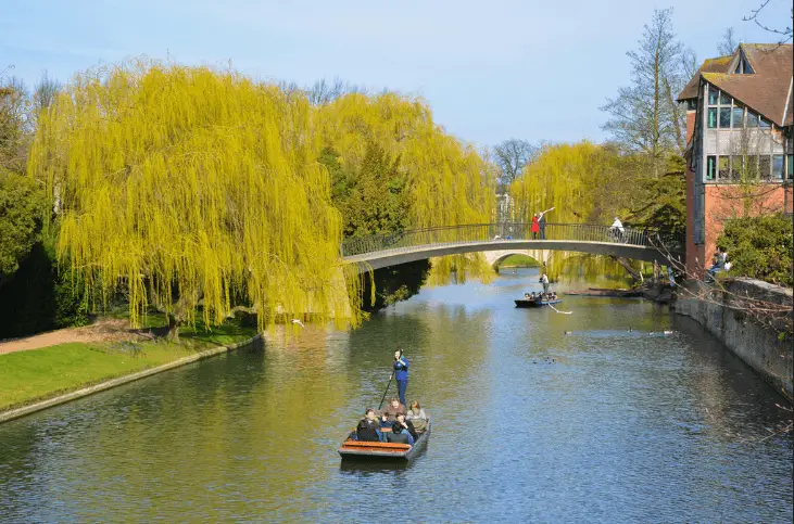 Como ir de Londres a Cambridge - Punting no rio Cam