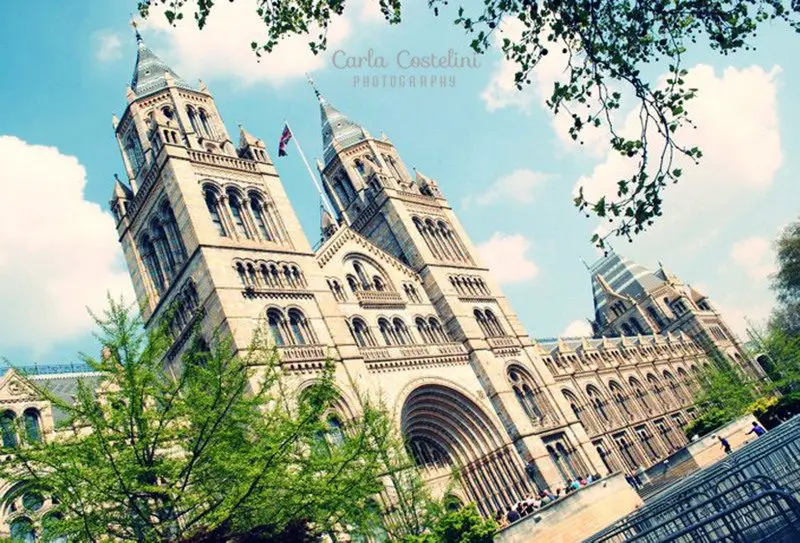 Londres de graça - National History Museum