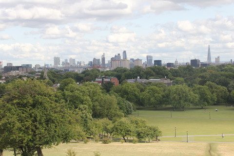 Primrose Hill - vista