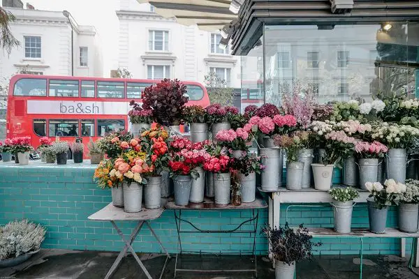 Um lugar chamado Notting Hill - flores