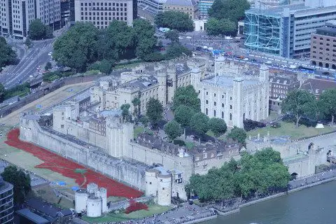 As papoulas na Torre de Londres - visão do alto