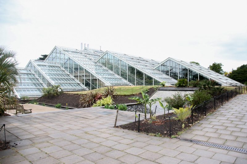 Kew Gardens - estufas