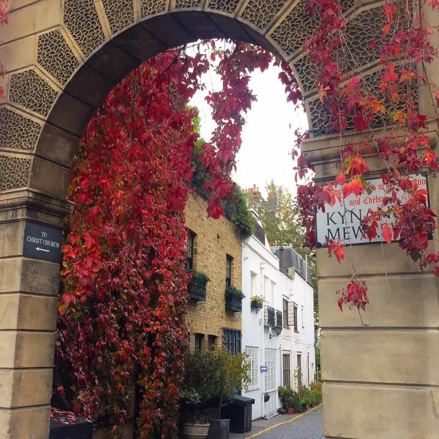 Um passeio por Kensington e Knightsbridge - Kynance Mews