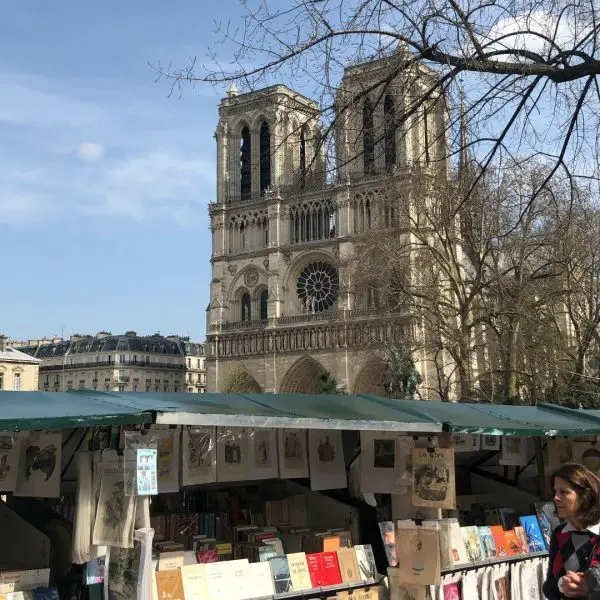 Roteiro 1 dia em Paris - Catedral de Notre Dame