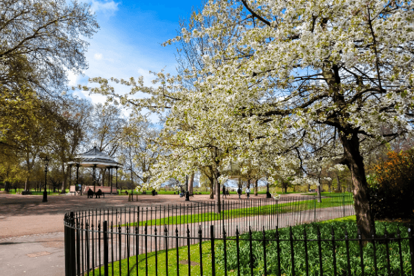 Hyde Park na primavera
