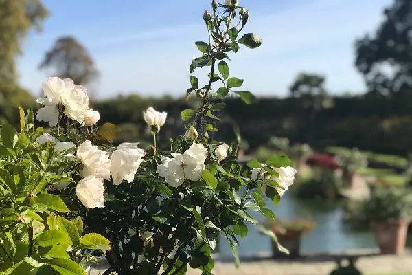 Jardins do Palácio de Kensington