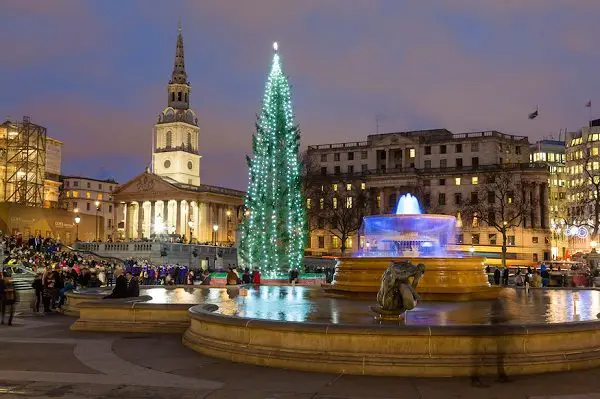 Árvore de Natal na Trafalgar Square
