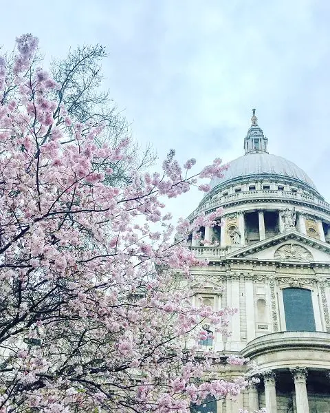 Catedral de São Paulo na primavera