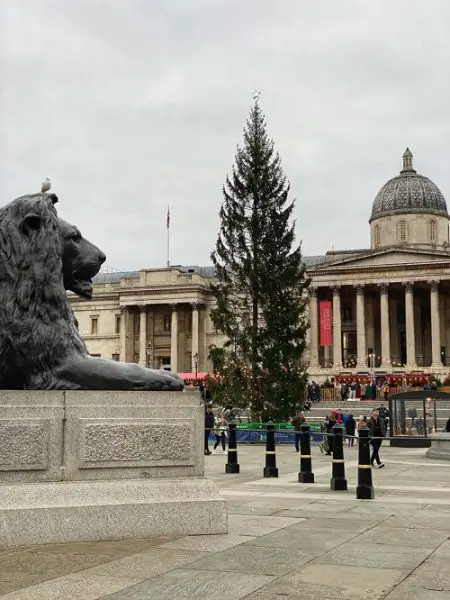 arvore de natal da trafalgar Square