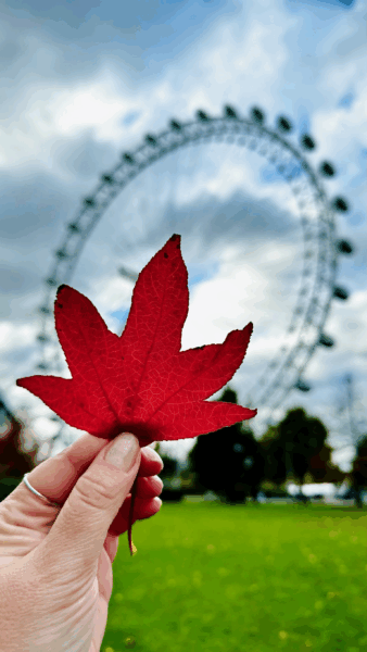 folha de outono com a London Eye ao fundo